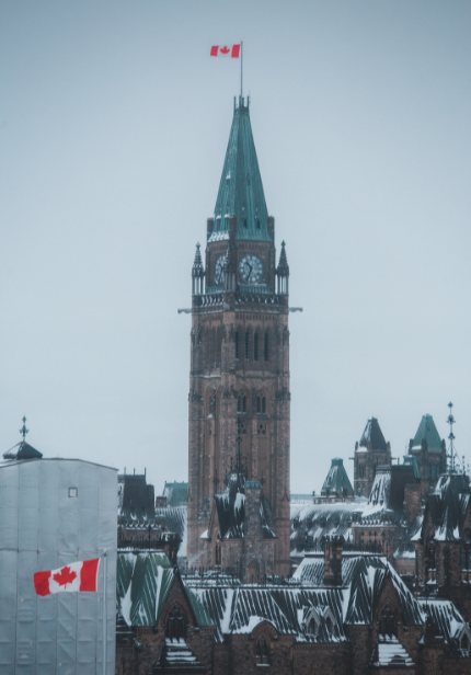 Image hover effect image